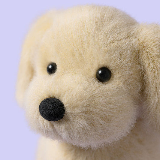 Nouveau chiot : mode d’emploi