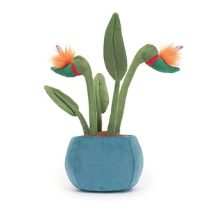 Amuseable Bird Of Paradise One Size JELLYCAT