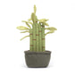 Amuseable Potted Bamboo One Size JELLYCAT