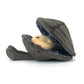 Amuseables Michelle Mussel One Size JELLYCAT