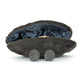 Amuseables Michelle Mussel One Size JELLYCAT