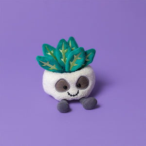 Amuseables Skull Planter One Size JELLYCAT
