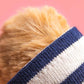 Bartholomew Bear Atuendo Marinero Talla Única JELLYCAT