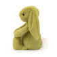 Bashful Moss Bunny Small JELLYCAT