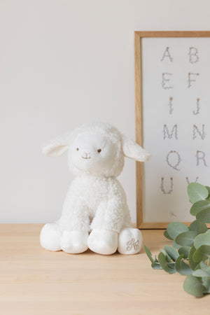 EDMOND LE MOUTON Tartina Crudo y Chocolate