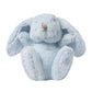 AUGUSTIN LE LAPIN Bleu Ciel Tartine & Chocolat